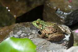 22 30-Jul-13 12-54-27 D800 001